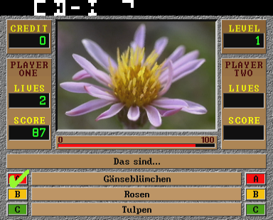 Quizard — ss (WOR)