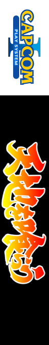 Dynasty Wars — box-2D-side (JP)