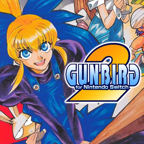 Gunbird2 For Nintendo Switch — support-texture (CUS)