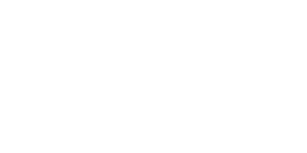 Electronic Super Joy — wheel (WOR)