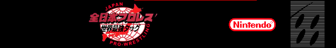 Zen Nippon Pro Wrestling Dash - Sekai Saikyou Tag — box-2D-side (SS)