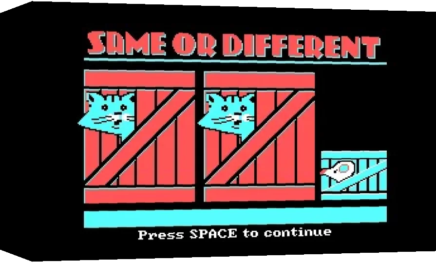 Same or Different — box-3D (WOR)