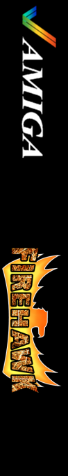 Firehawk — box-2D-side (WOR)