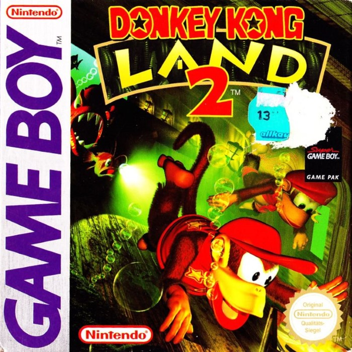Donkey Kong Land 2 — box-2D (DE)