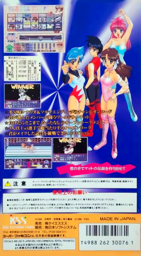 Bishoujo Wrestler Retsuden - Blizzard Yuki Rannyuu!! — box-2D-back (JP)