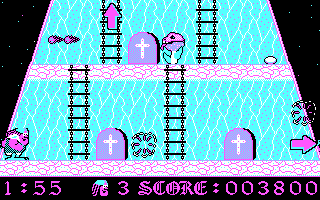 Armorik The Viking - The Eight Conquests — ss (EU)