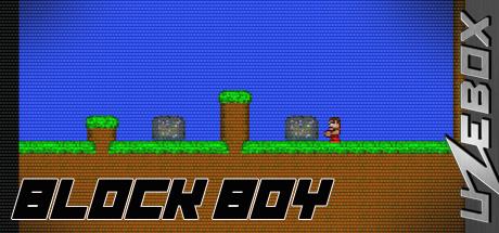 Block Boy — steamgrid
