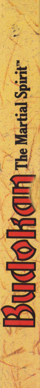Budokan - The Martial Spirit — box-2D-side (EU)