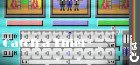 Catch a Thief — steamgrid