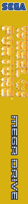 Wheel Of Fortune — box-2D-side (SS)