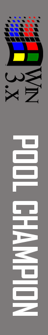Pool Champion — box-2D-side (WOR)