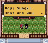 Pokemon Diamond — ss (WOR)