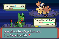 Pokemon : Theta Emerald EX — ss (WOR)