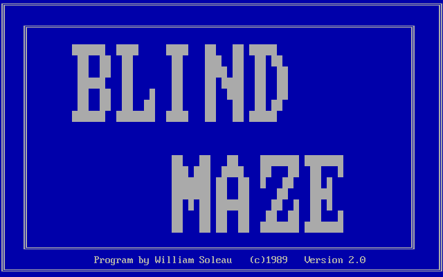 Blind Maze box art