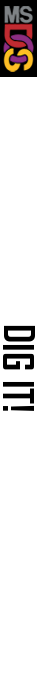 Dig It! — box-2D-side (CUS)