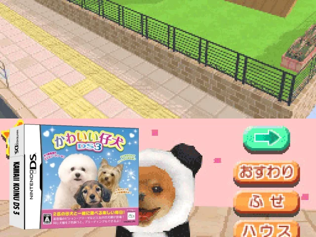 Kawaii Koinu DS 3 — mixrbv2 (JP)