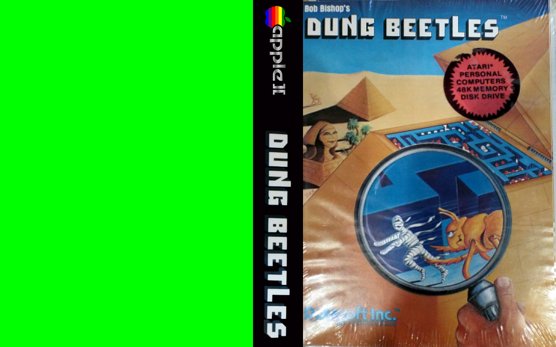 Dung Beetles — box-texture (US)