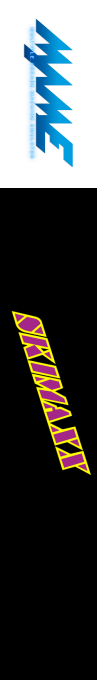 Skimaxx — box-2D-side (US)