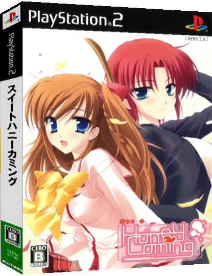 Sweet Honey Coming — box-3D (JP)
