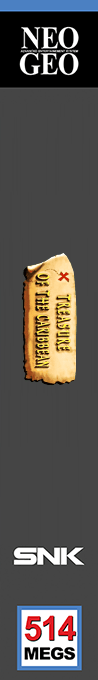 Treasure of the Caribbean — box-2D-side (WOR)