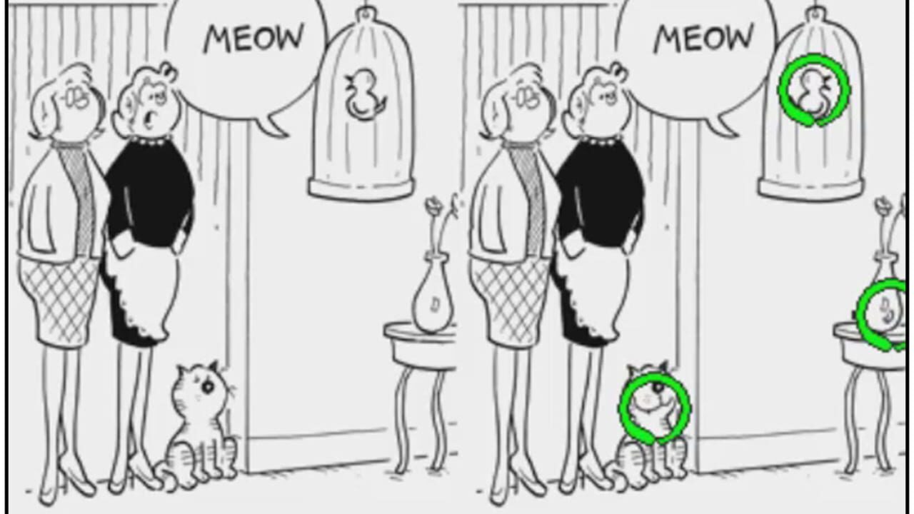 Heathcliff - Spot On — screenshot (WOR)