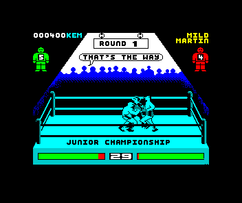 Pro Boxing Simulator — ss (EU)