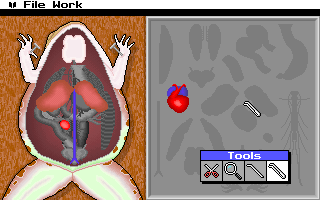 Operation - Frog — ss (WOR)