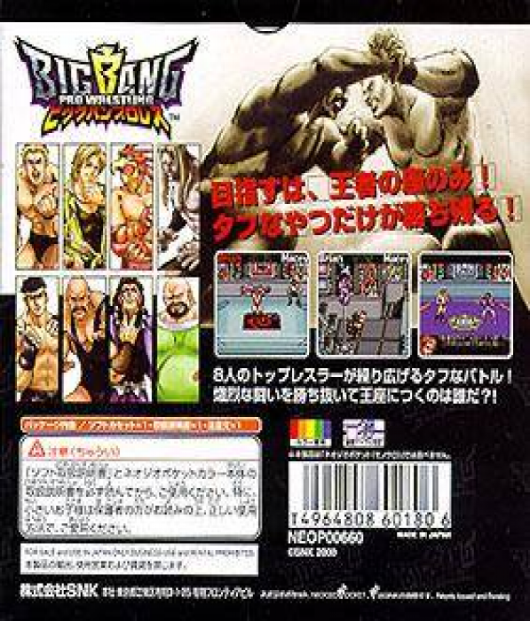 Wrestling Madness — box-2D-back (JP)