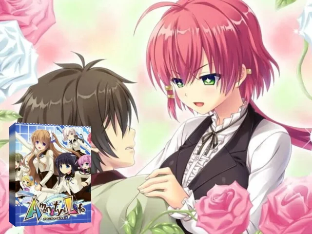 Amenity's Life — mixrbv2 (JP)