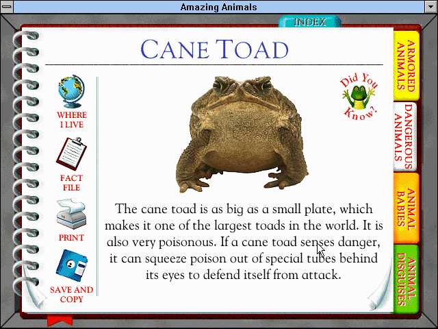 Amazing Animals Activity Pack — ss (WOR)