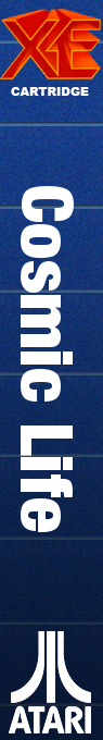 Cosmic Life — box-2D-side (WOR)
