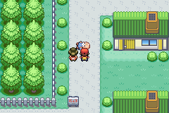 Pokemon : Chaos Black Version — ss (WOR)