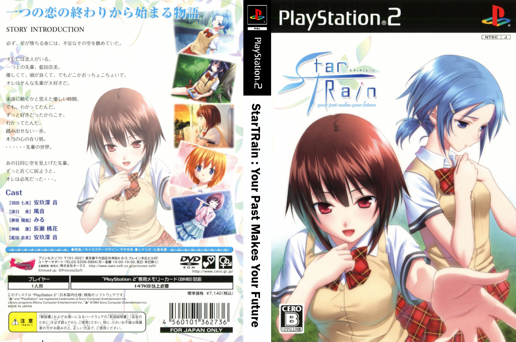 StarTRain - Your Past Makes Your Future — box-texture (JP)