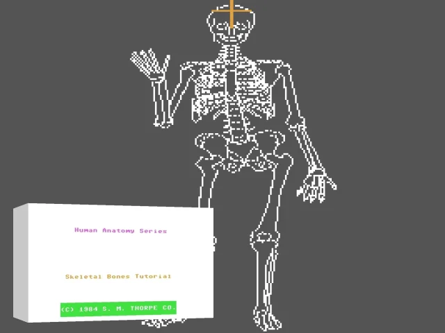 Human Skeleton Tutorial — mixrbv2 (US)