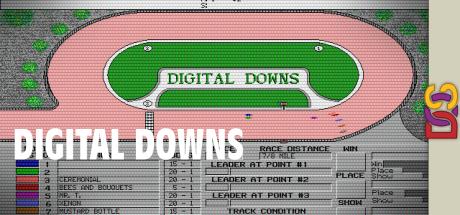 Digital Downs — steamgrid