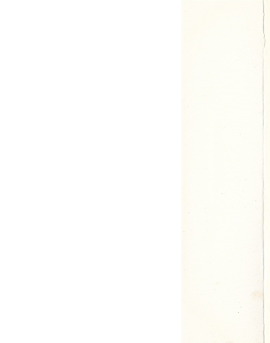 Brick 'em In — box-2D-back (WOR)