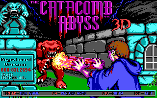 Catacomb Abyss, The box art