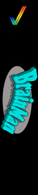 Brain Man — box-2D-side (CUS)