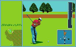 Tournament Golf — ss (WOR)