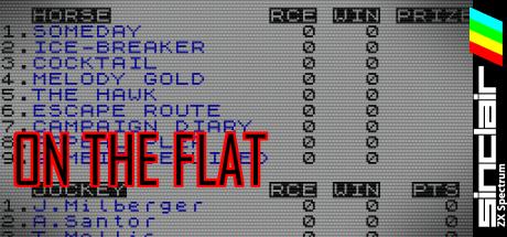 On the Flat — steamgrid