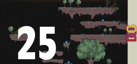 25 — steamgrid