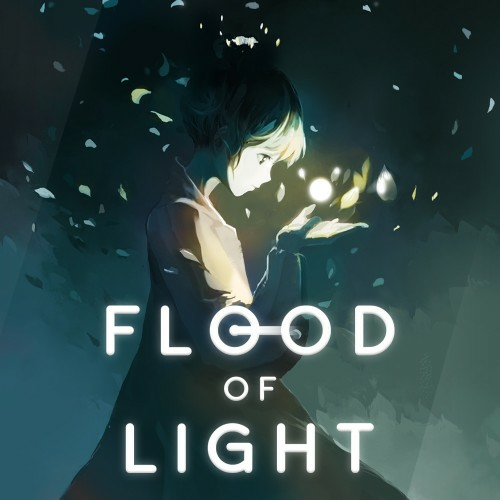 Flood Of Light — support-texture (CUS)