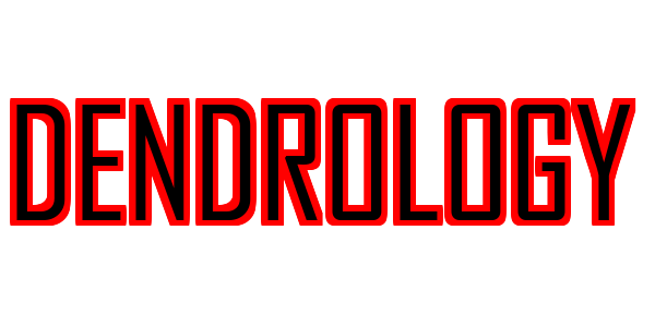 Dendrology — wheel-hd (SS)