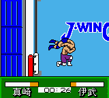 Pocket Pro Wrestling - Perfect Wrestler — ss (WOR)