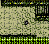 Warriors Of Might And Magic — ss (WOR)