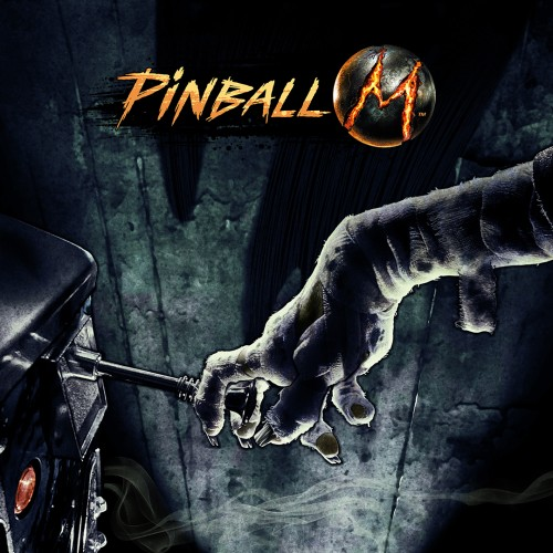 Pinball M — support-texture (CUS)