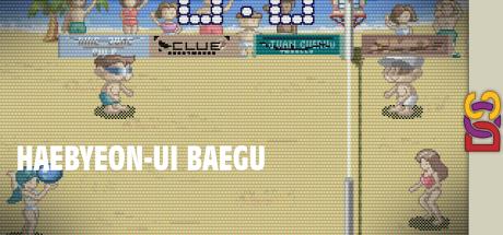Haebyeon-ui Baegu — steamgrid