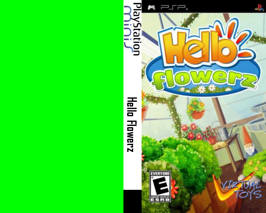 Hello Flowerz — box-texture (US)