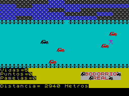 Bodorrio Real — ss (WOR)