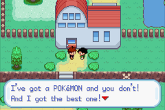 Pokémon AshGray Version — ss (WOR)